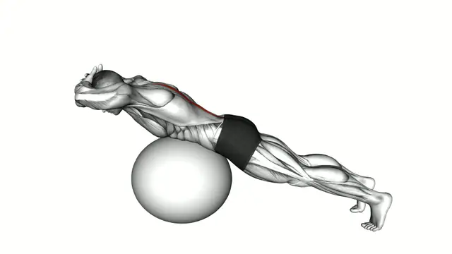 Hyperextension on a Exercise Ball exercise demonstration