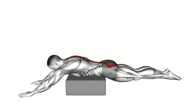 Reverse Hyperextension on Box exercise demonstration