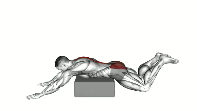 Reverse Frog Hyperextension on Box exercise demonstration