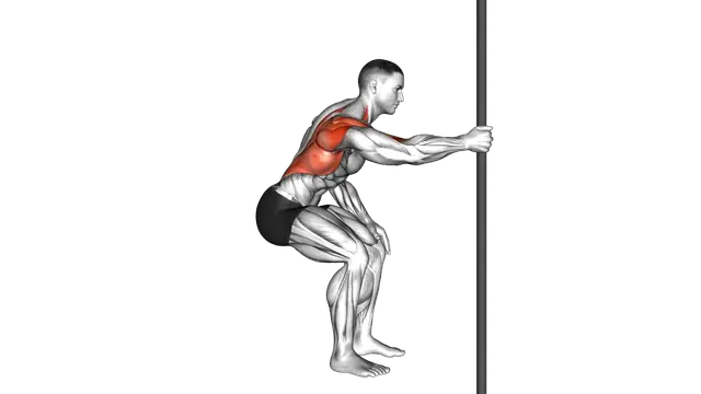 Fixed Bar Back Stretch exercise demonstration