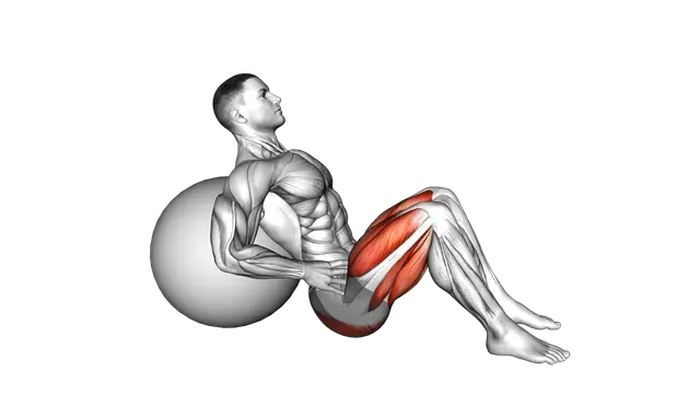 Lying Hip Lift (on stability ball) exercise demonstration