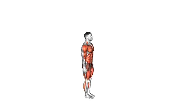 Burpee exercise demonstration