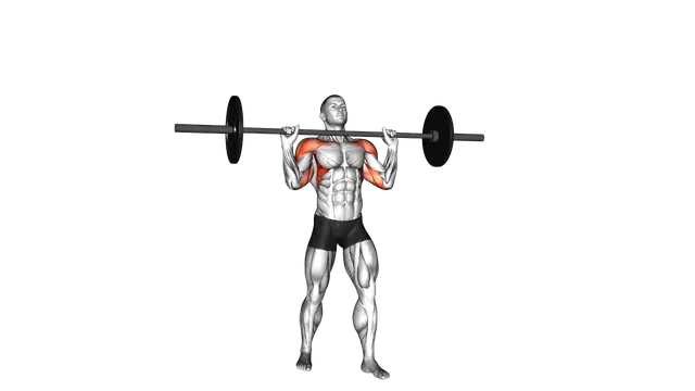 Barbell Standing Military Press (without rack) exercise demonstration