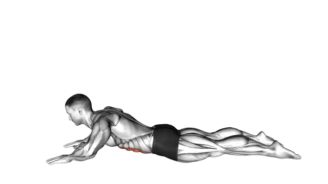 Lying (prone) Abdominal Stretch exercise demonstration