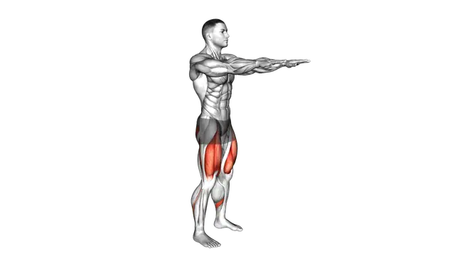 Bodyweight Squat exercise demonstration