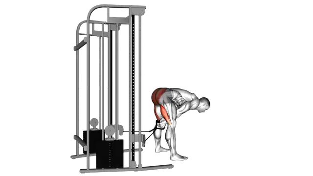 Cable pull through exercise demonstration