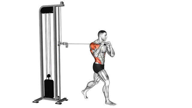 Cable Twisting Standing One Arm Chest Press exercise demonstration