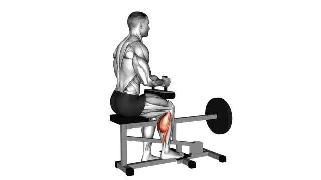 Lever Seated One Leg Calf Raise exercise demonstration
