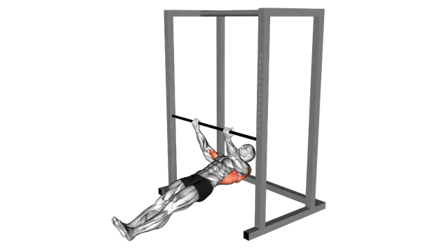 Underhand Grip Inverted Back Row exercise demonstration