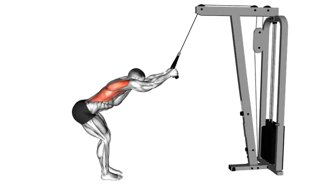 Cable Standing Lat Pushdown (rope equipment) exercise demonstration