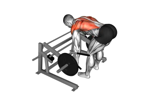 Lever Row (plate loaded) exercise demonstration
