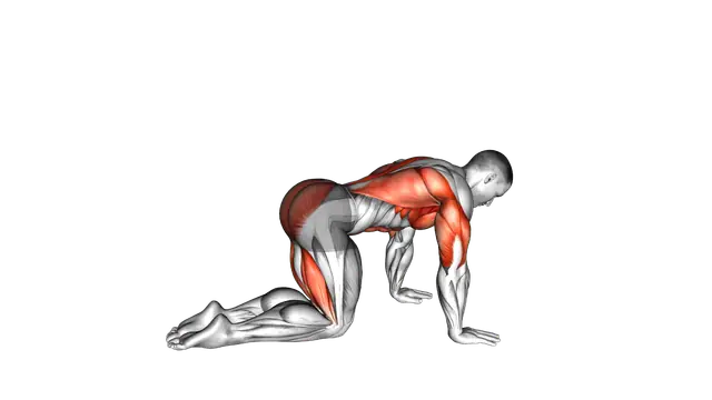 Bird Dog male exercise demonstration