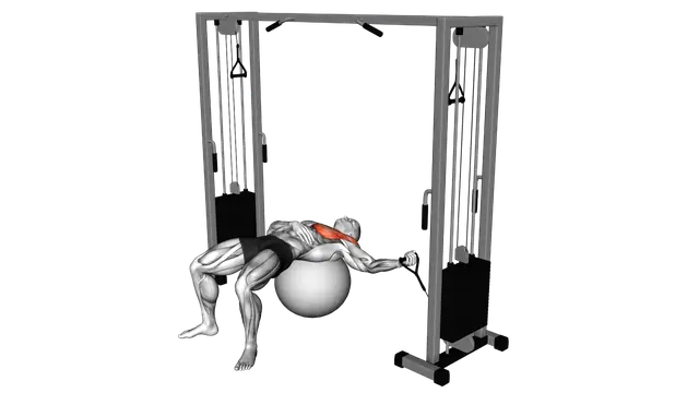 Cable One Arm Fly on Exercise Ball exercise demonstration