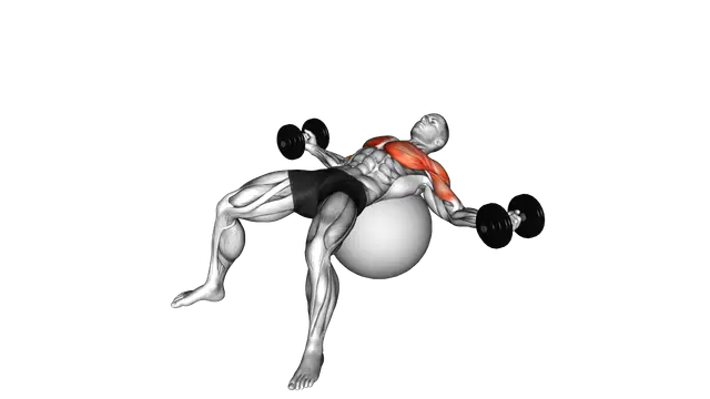 Dumbbell Fly on Exercise Ball exercise demonstration