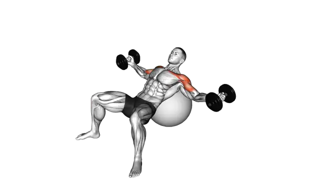 Dumbbell Incline Fly on Exercise Ball exercise demonstration