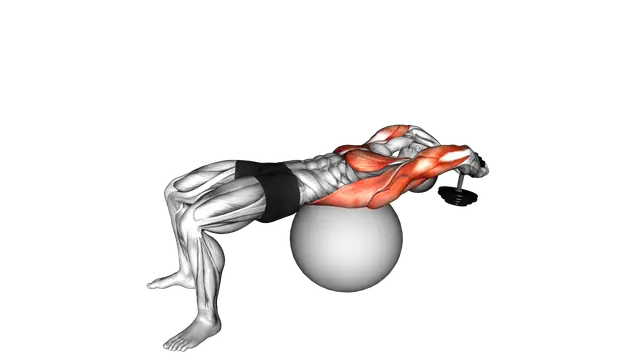 Dumbbell Lying Pullover on Exercise Ball exercise demonstration