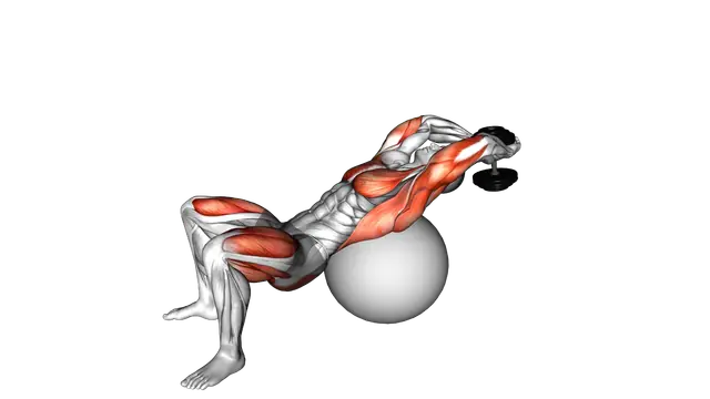 Dumbbell Pullover Hip Extension on Exercise Ball exercise demonstration