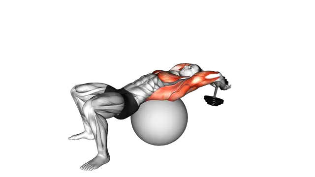 Dumbbell Pullover on Exercise Ball exercise demonstration
