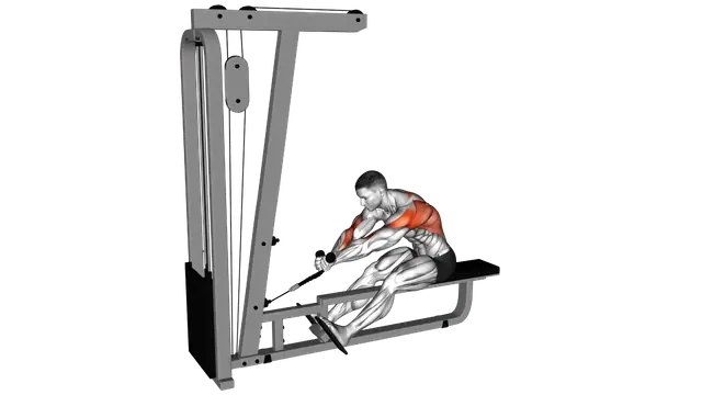 Cable Rope Crossover Seated Row exercise demonstration