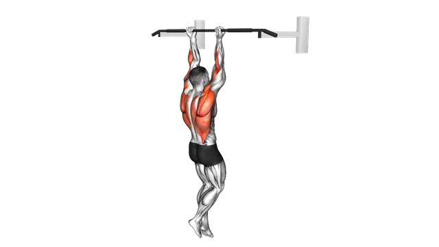 Chin Up exercise demonstration