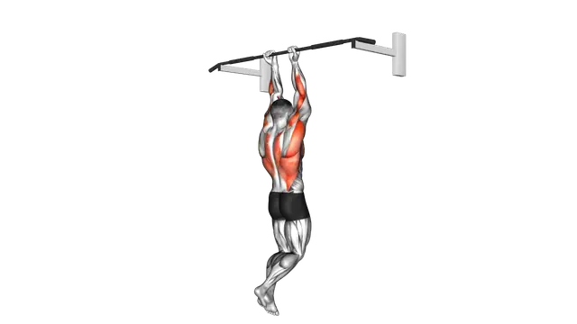 Close Grip Chin Up exercise demonstration