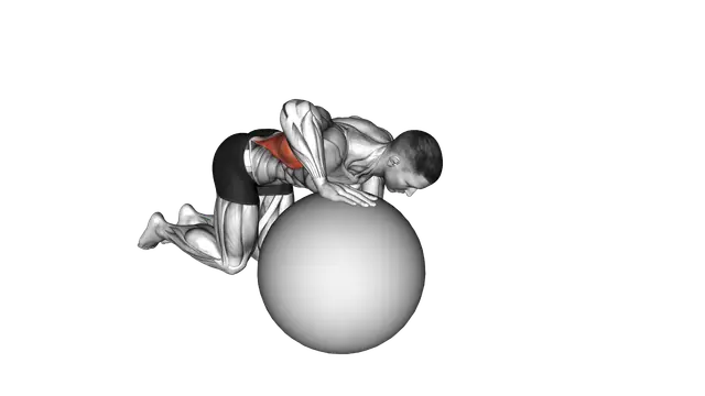 Exercise Ball Lat Stretch exercise demonstration