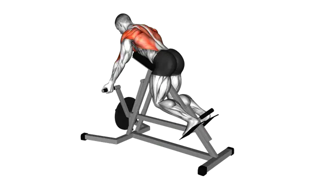 Lever Reverse T Bar Row exercise demonstration