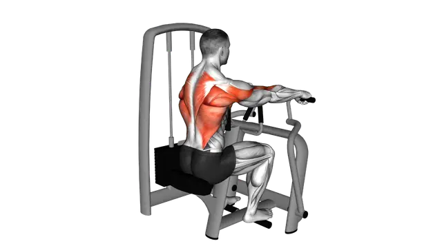 Lever Seated Row exercise demonstration