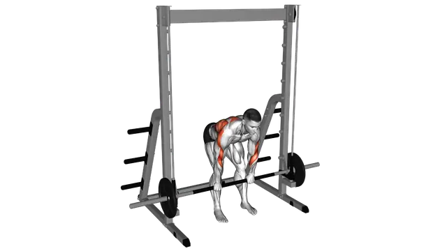 Smith Bent Over Pronated Grip Row exercise demonstration