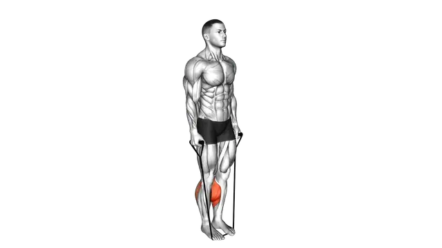 Band Two Legs Calf Raise (Band under both legs) exercise demonstration