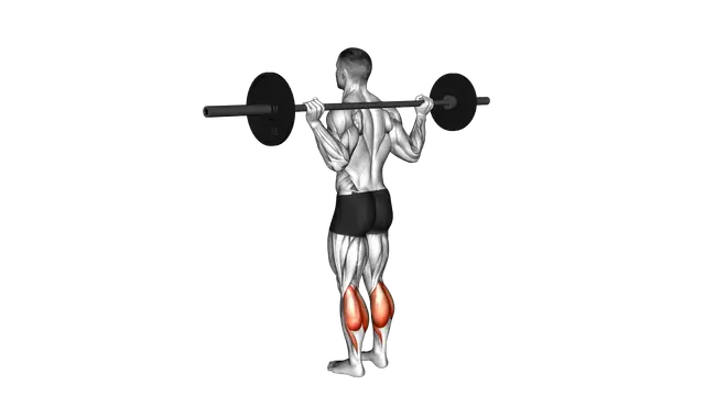 Barbell Floor Calf Raise exercise demonstration