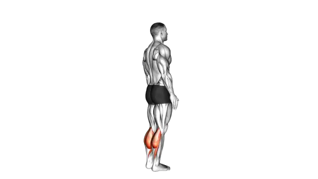 Bodyweight Standing Calf Raise exercise demonstration
