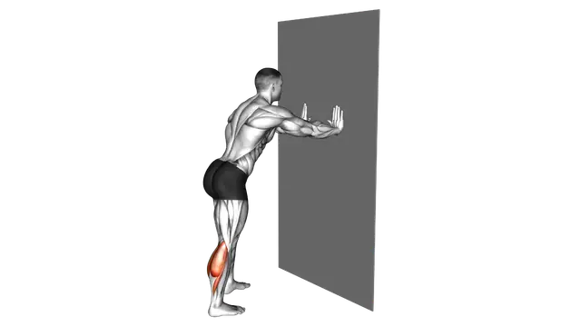 Calf Stretch With Hands Against Wall exercise demonstration