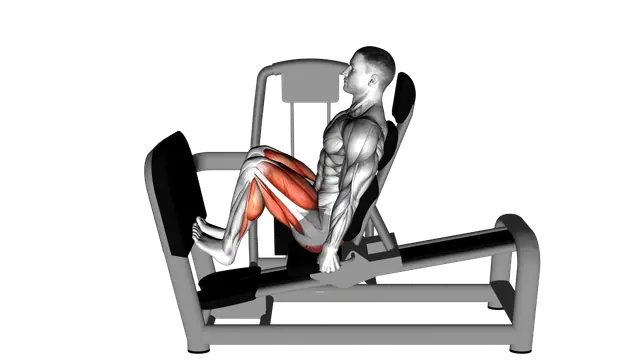 Lever Seated Squat Calf Raise on Leg Press Machine exercise demonstration