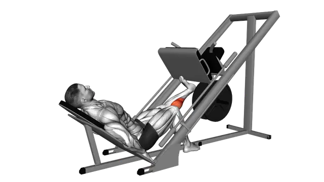 Sled One Leg Calf Press on Leg Press exercise demonstration