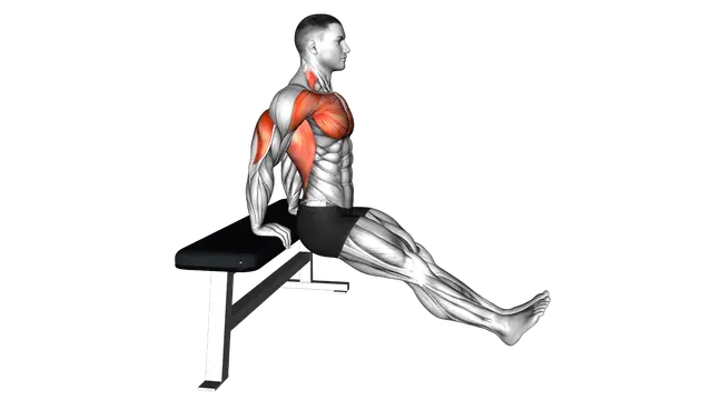 Bench Dip on Floor exercise demonstration