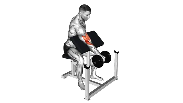 Dumbbell One Arm Reverse Preacher Curl exercise demonstration