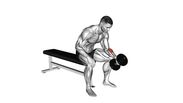 Dumbbell One Arm Seated Neutral Wrist Curl exercise demonstration