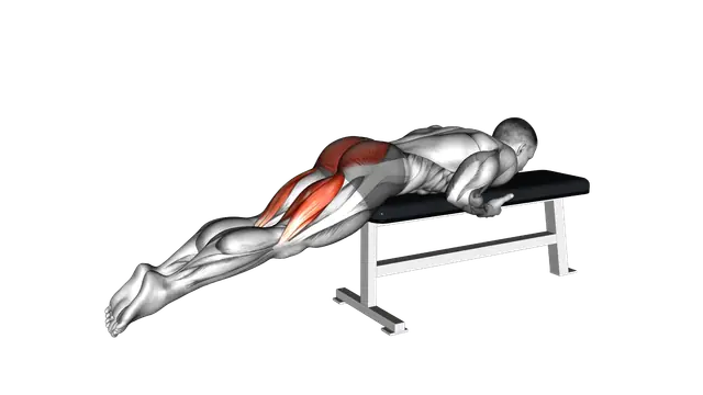 Reverse Hyper on Flat Bench exercise demonstration