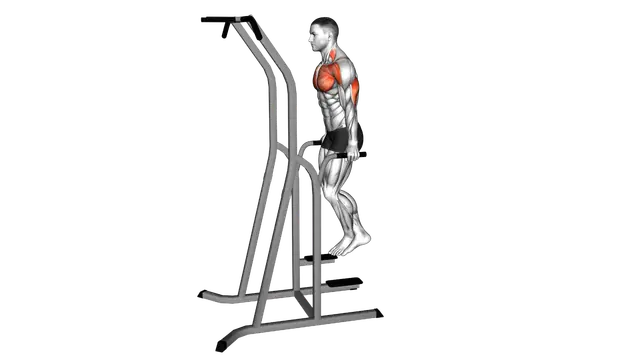 Chest Dip (on dip pull up cage) exercise demonstration