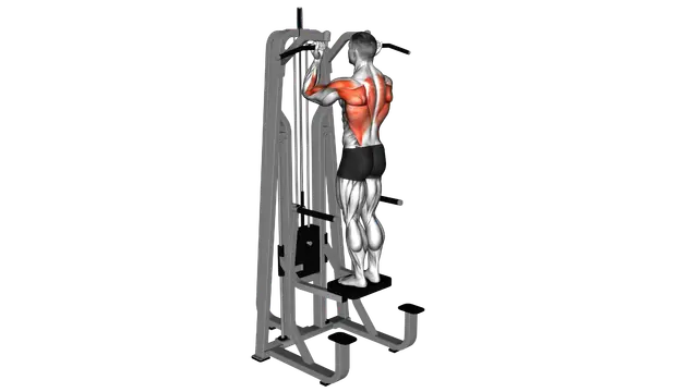 Lever Assisted Standing Chin Up exercise demonstration