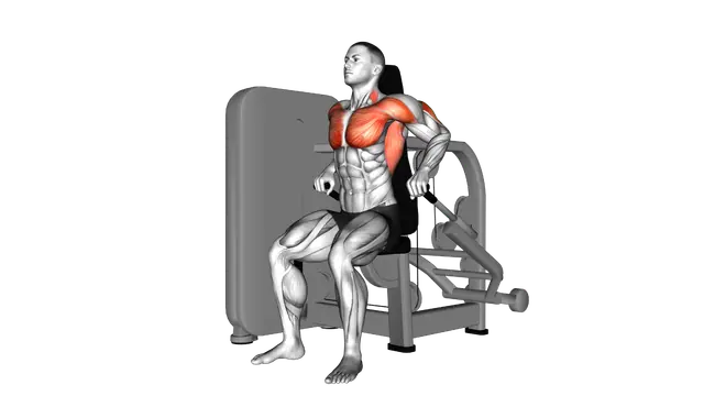 Lever Seated Dip exercise demonstration