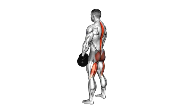 Dumbbell Romanian Deadlift exercise demonstration