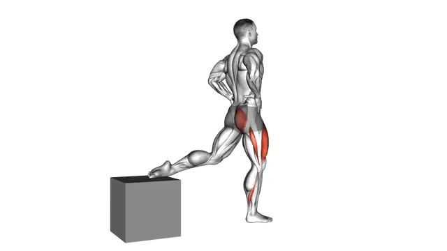 One Leg Squat exercise demonstration