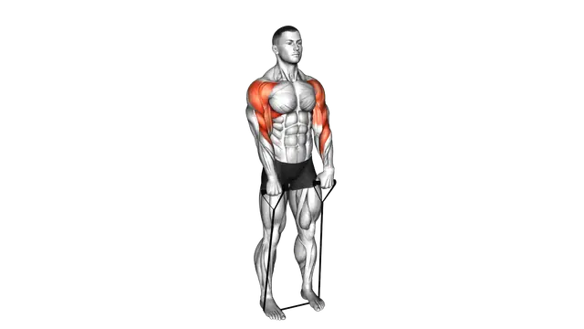 Band Upright Row (Under two feet) exercise demonstration