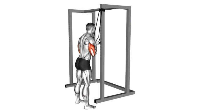 Band Pushdown exercise demonstration