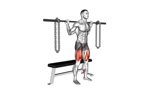 Barbell Weighted Chains Bench Squat exercise demonstration