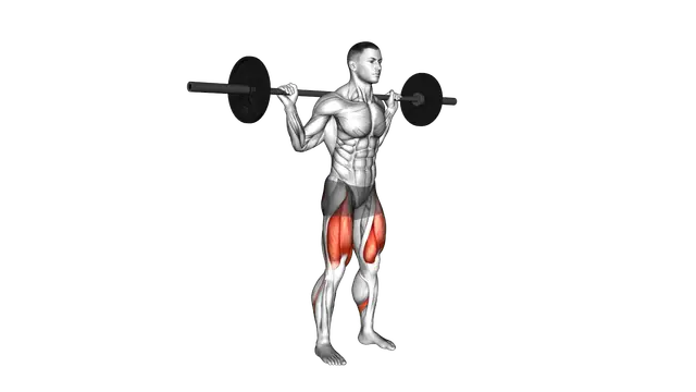 Barbell Quarter Squat exercise demonstration