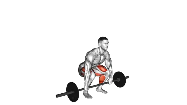 Barbell Clean Deadlift exercise demonstration