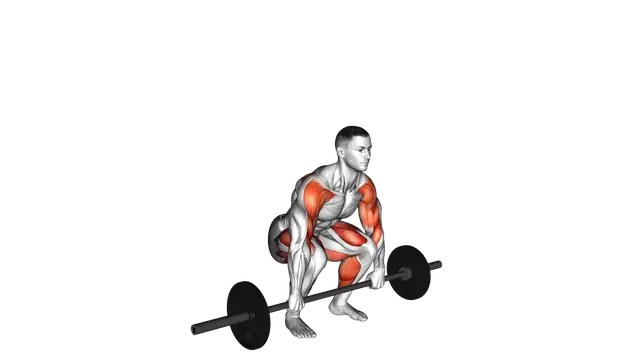 Barbell Clean Pull exercise demonstration